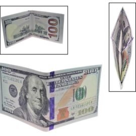 Billetera de billete de $100.00 USD